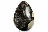 Polished Dragon Egg Septarian Geode #342597-1